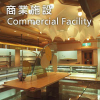 Commercial Facility